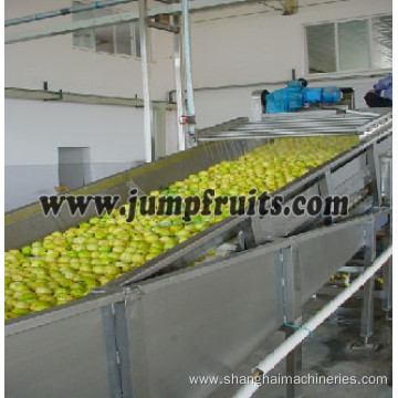 SUS304 fruit and vegetable washing line